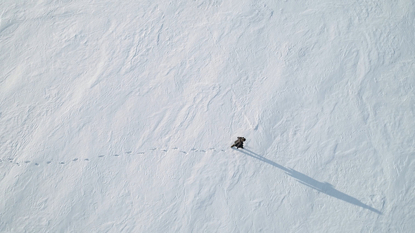 Lonely Walking on Frozen Lake