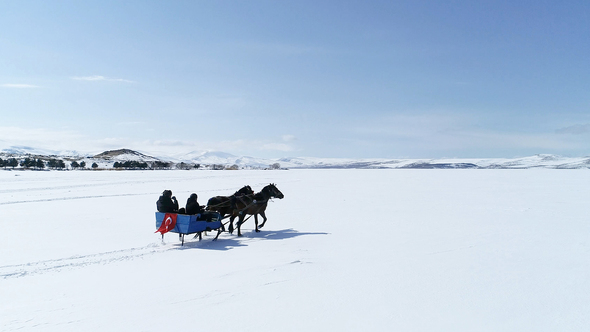 Sleighs Running Tourism