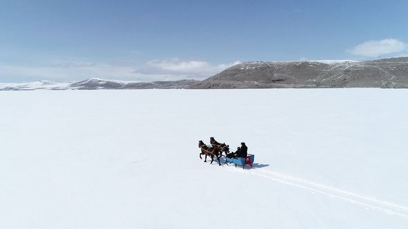 Sleigh Tour in White