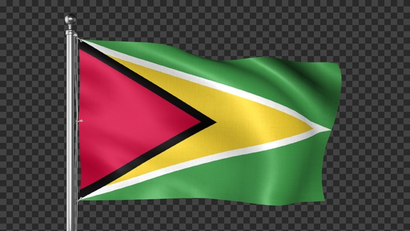 Guyana Flag