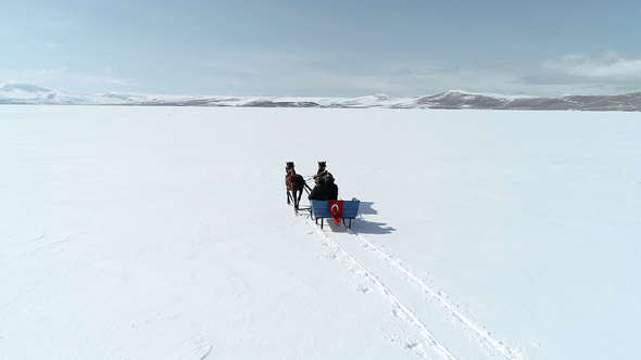 Tourist Taking a Sled Ride