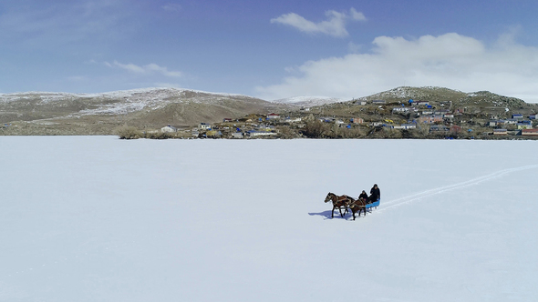 Tough Life Sled Ride