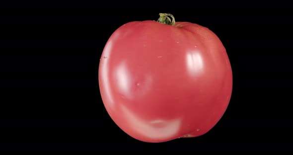 Red Tomato Rotating Alpha Channel