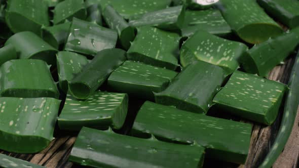 Aloe Vera Cactus Slices