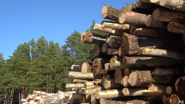 Stacked Wood Logs Against Blue Sky