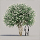 4 Crepe Myrtle - 3DOcean Item for Sale
