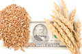 Wheat ears and money - PhotoDune Item for Sale