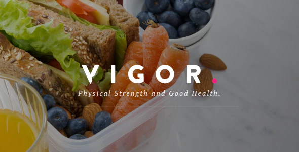Vigor – A Responsive News Magazine Blog WordPress Theme