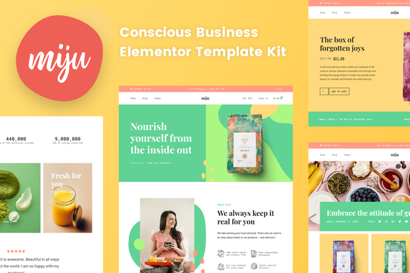 Miju - Conscious Business Elementor Template Kit