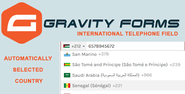 Gravity Forms International Telephone Field