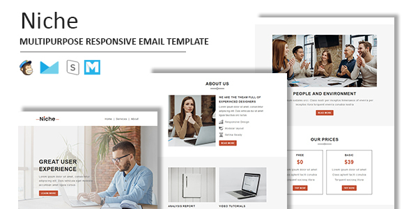 Niche - Multipurpose Responsive Email Template