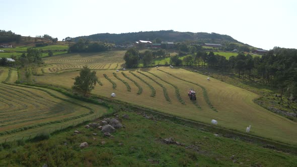 Farming Tractor With Baler Collects Windrow For Silage Production In Hjelmeland, Rogaland, Norway. -