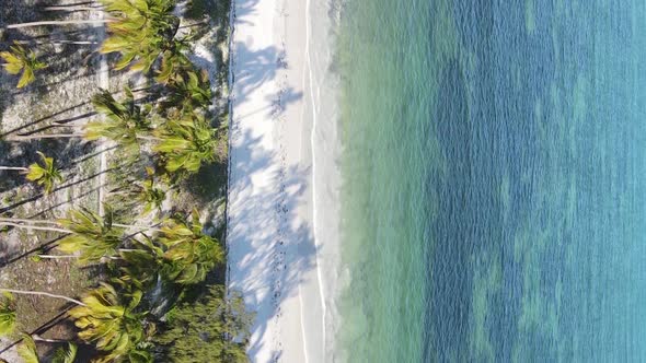 Vertical Video Empty Beach on Zanzibar Island Tanzania Aerial View