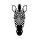 Zebra Head on White - GraphicRiver Item for Sale