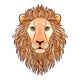 Lion Muzzle on White - GraphicRiver Item for Sale
