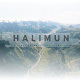 Halimun Google Slide Templates - GraphicRiver Item for Sale