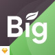 Bigrocery UI Kit - ThemeForest Item for Sale