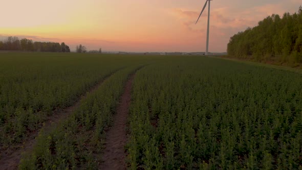 Drone flying fast over green field