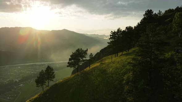 Green Trees on a Mountain Slope