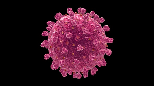 Coronavirus Covid 19 Cell