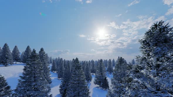 Winter Mountain Forest Landscape alt
