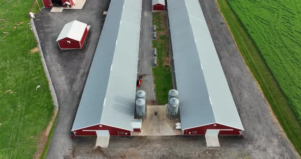 Farm rural chicken house barns for poultry birds. Red buildings. Aerial tilt up reveal of green fiel