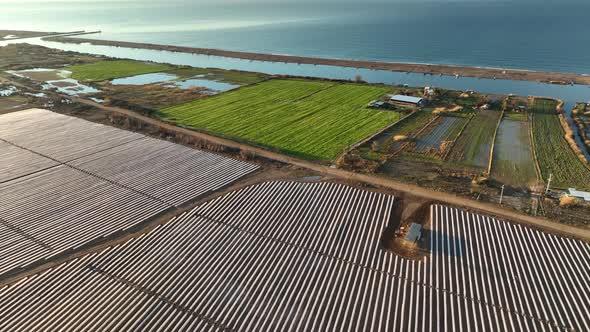 Farm Fields Background Texture Green 4 K Aerial View