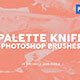 30 Palette Knife Photoshop Stamp Brushes 2 - GraphicRiver Item for Sale