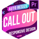 Auto Resize Call-Out - VideoHive Item for Sale