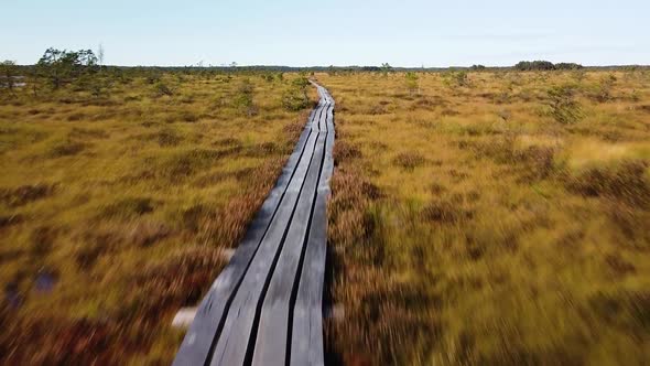 Aerial birdseye view of Dunika peat bog (mire)  with small ponds wood pathway trail in sunny autumn