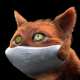 Red Cat with Medical Mask - VideoHive Item for Sale
