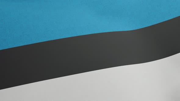 National Flag of Estonia Waving Original Size and Colors 3D Render Eesti Lipp is Estonian Flag