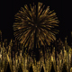 Fireworks with alpha - VideoHive Item for Sale