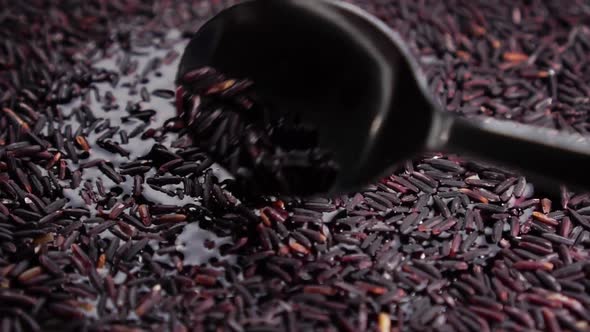 Cooking and stirring wild rice grains in water close-up with a spoon