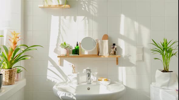 Modern Light Bathroom in Ecofriendly Style