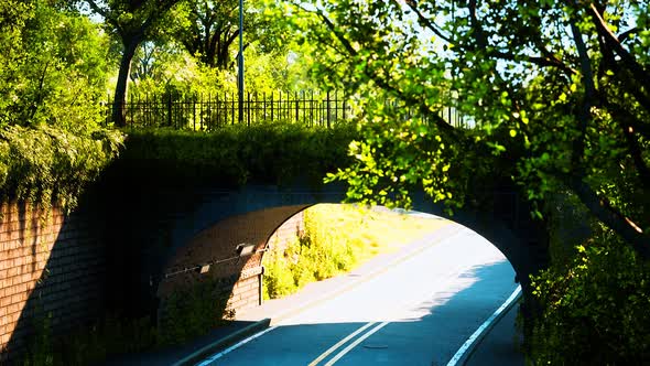 Arch Bridge with Living Bush Branches in Park alt