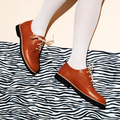 Fashion retro shoes on  minimal zebra print background. Stylish footwear concept - PhotoDune Item for Sale