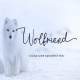 Wolfriend - Modern Handwritten Font - GraphicRiver Item for Sale