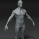 Male Body Base Mesh 3D Model 10k Polygons - 3DOcean Item for Sale