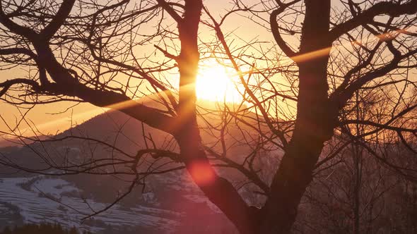 Sunset. The setting sun behind the mountain from behind the silhouettes of a tree.