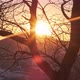 Sunset. The setting sun behind the mountain from behind the silhouettes of a tree. - VideoHive Item for Sale