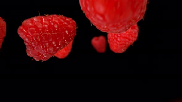 Super Slow Motion Detail Shot of Flying and Rotating Fresh Raspberries at 1000Fps