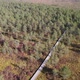 Drone aerial view to Estonian bog - VideoHive Item for Sale