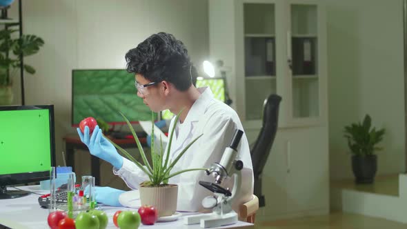 Chemist Researcher Looking At Apple With Mock Up Green Screen Chroma Key With Isolated Display alt