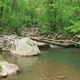 Rocky River In The Woods - VideoHive Item for Sale