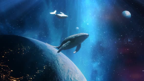 Fantastic Dream Whales In Space