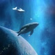 Fantastic Dream Whales In Space - VideoHive Item for Sale
