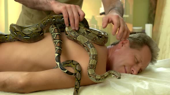 Male Beautician Putting Snake on Mans Back