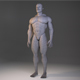 Low Poly Male Body Model - 3DOcean Item for Sale