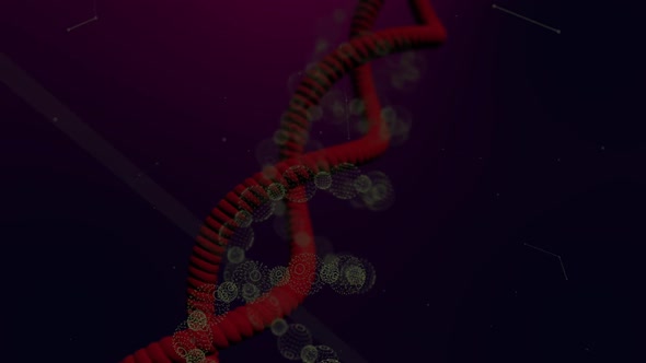 Corona Virus Attacking Dna